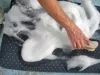 Upholstery