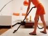 Vacuum cleaning and shaking